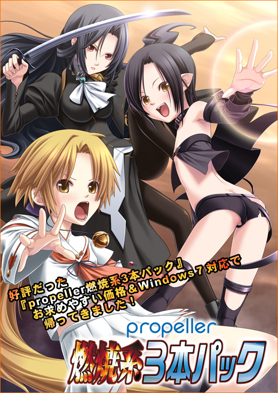 『燃焼系三本パック 廉価版』